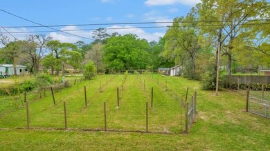 23503 Crooked Creek Ct, Hockley, TX 77447 - photo 4