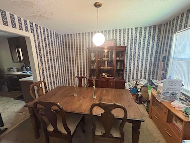 3520 Ridgeview Dr, Irondale, AL 35210 - photo 6