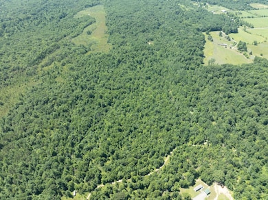 0 W Short Rd unit 25026044, Sanford, MI 48657 - photo 4