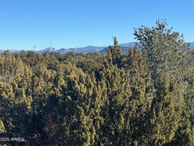 #5 Skyline Ranch -- unit 5, Vernon, AZ 85940 - photo 5