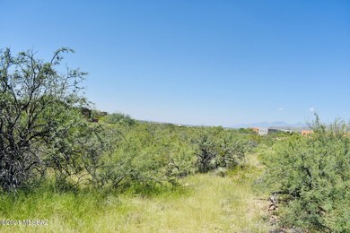 Coyote Creek