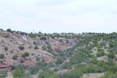 Lots of Trees and Animals