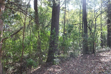 TBD N Cass St, Jefferson, TX 75657 - photo 3