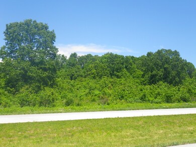 IMGP0074