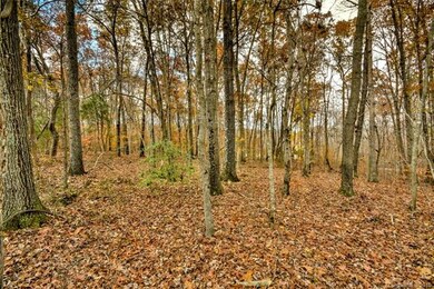 0 Furnace Rd unit 3455383, Iron Station, NC 28080 - photo 5