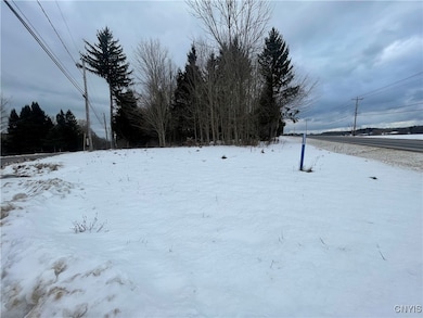 0 Emery Rd unit S1654552, Volney, NY 13069 - photo 5