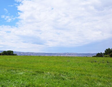 1658 O Rd, Loma, CO 81524 - photo 5