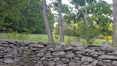 459 Jackson Rd, Dallas, PA 18612 - photo 5