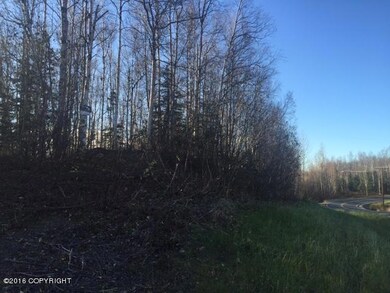 Lots of trees