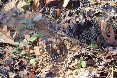 0 Deadend Trail, Garrison, KY 41141 - photo 7