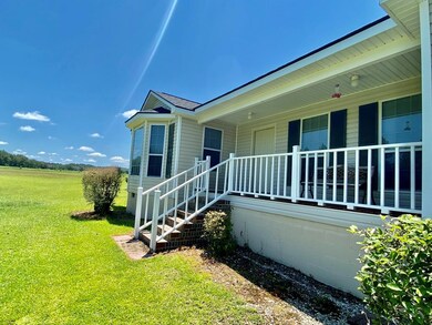 677 Blackberry Rd, Baconton, GA 31716 - photo 4