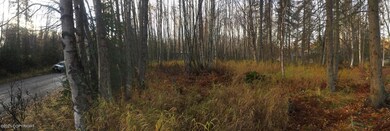Nikiski 2 (1)