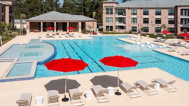 30020 Creekside Terrace Dr unit 8203, Spring, TX 77386 - photo 3