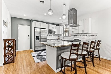 209 Commonwealth Ave unit PD, Chestnut Hill, MA 02467 - photo 7