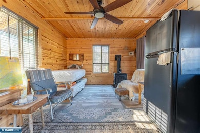 1346 Bear Head State Park Rd, Ely, MN 55731 - photo 2