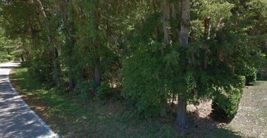 6462 W Riverbend Rd, Dunnellon, FL 34433 - photo 7