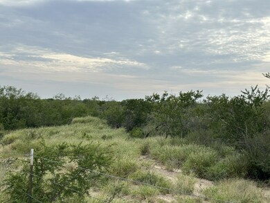 3441 U S Highway 83 unit PARCEL 3-C TX, Zapata, TX 78076 - photo 4