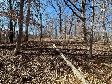 .34 Acres Carpenter Ln, Bella Vista, AR 72715 - photo 6