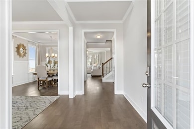 Foyer entrance featuring dark wood-type flooring, ornamental molding, a notable chandelier, and plenty of natural light