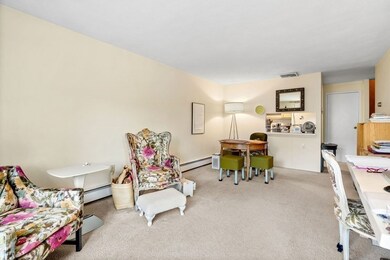 321 Harvard St unit 206, Cambridge, MA 02139 - photo 6