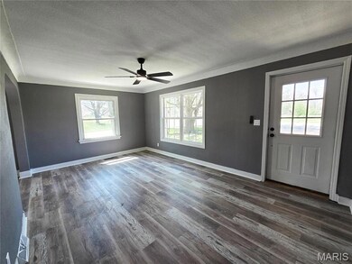 315 S Park Ln, Dexter, MO 63841 - photo 3