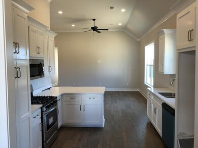 406 Live Oak Dr, Oxford, MS 38655 - photo 3