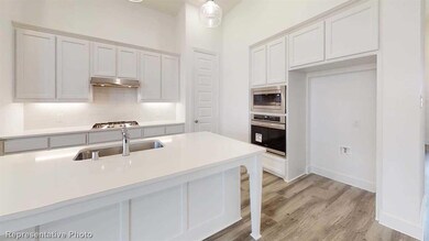 3526 Vision Ridge Trail, Denison, TX 75020 - photo 3