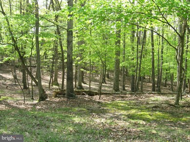 0 Tranquil Way unit WVMO115228, Great Cacapon, WV 25422 - photo 5