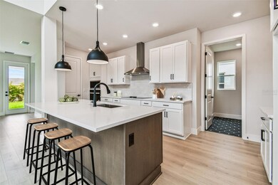 10645 Crescent Creek Crossing, Parrish, FL 34219 - photo 4