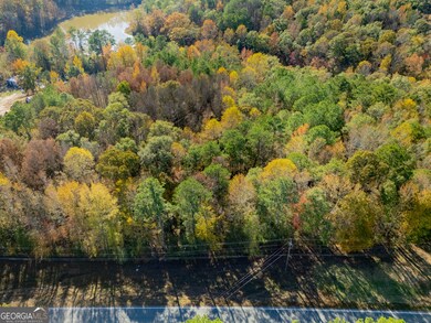 100 Tallapoosa Rd, Tallapoosa, GA 30176 - photo 3