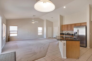 10428 E Jan Ave, Mesa, AZ 85209 - photo 5