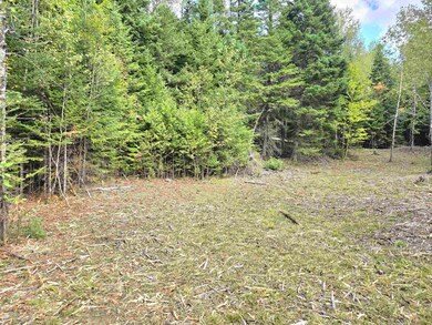 0 Cricket Lane Rd unit 10 & 11 5000689, Colebrook, NH 03576 - photo 4