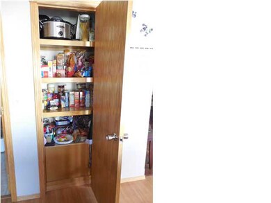 Pantry in the kitchen
