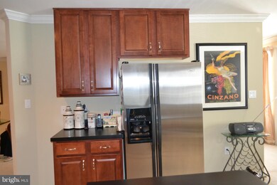 4800 Coyle Rd unit 309, Owings Mills, MD 21117 - photo 6