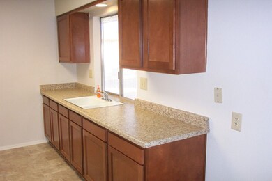 The Kitchen Looking To The Backyard