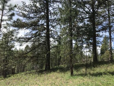 South of Cascade