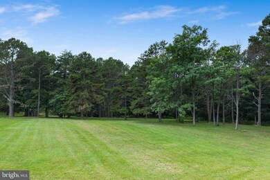 0 Polk Rd unit VASH2003832, Edinburg, VA 22824 - photo 3