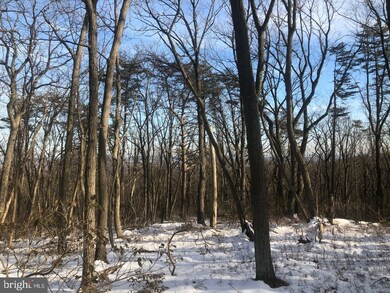 0 Etzler Rd unit MDFR2014238, Frederick, MD 21702 - photo 2