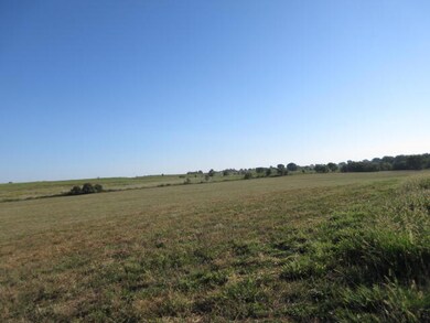 IMG_0010