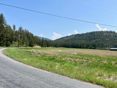 TBD-Lot 1 Immel Rd, Chewelah, WA 99109 - photo 2