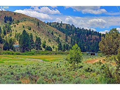 12142 Burns-Izee Rd, Seneca, OR 97873 - photo 2