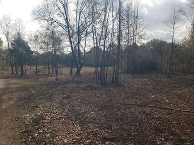 TBD Cr 1552 10 097 Ac, Long Branch, TX 75669 - photo 4