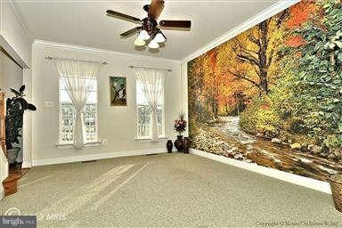 12325 Cherry Branch Dr, Clarksburg, MD 20871 - photo 7