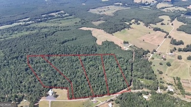 1 Bunch Rd, Tignall, GA 30668 - photo 4