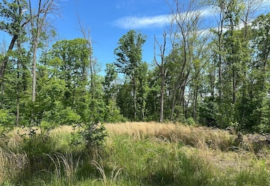 0 Woodmont Rd unit 23667528, Great Cacapon, WV 25422 - photo 3