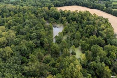 53 Private Rd, Desoto, IL 62924 - photo 4