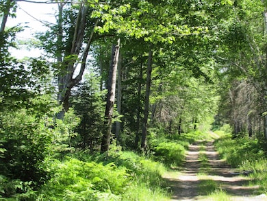 TBD County Fl Rd, Champion, MI 49814 - photo 6