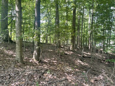 0 Laurel Crown Rd, Manchester, TN 37355 - photo 2