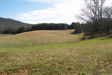 800 Goodbar Rd, Rock Island, TN 38581 - photo 3