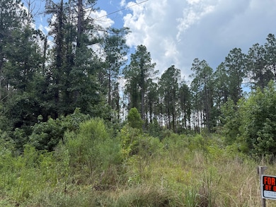 0 County Road 51 Greensboro unit AL 36744, Greensboro, AL 36744 - photo 5